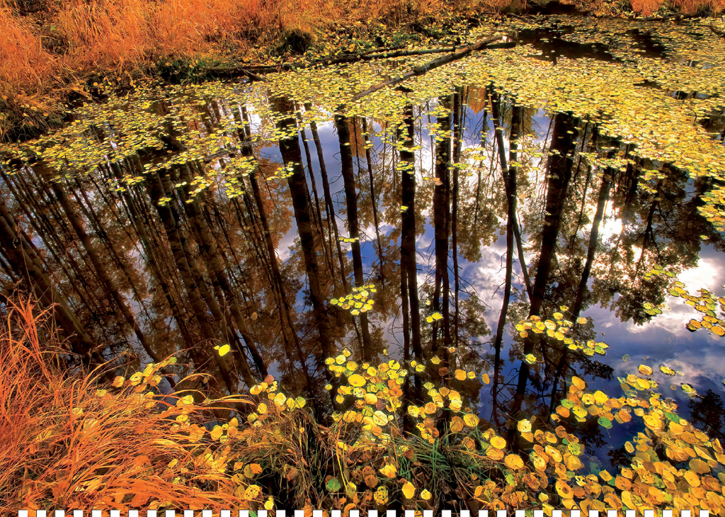 2027 Great Smoky Mountains National Park Calendar