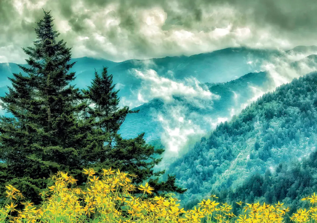 2024 Great Smoky Mountains National Park Calendar Ken Jenkins Photography