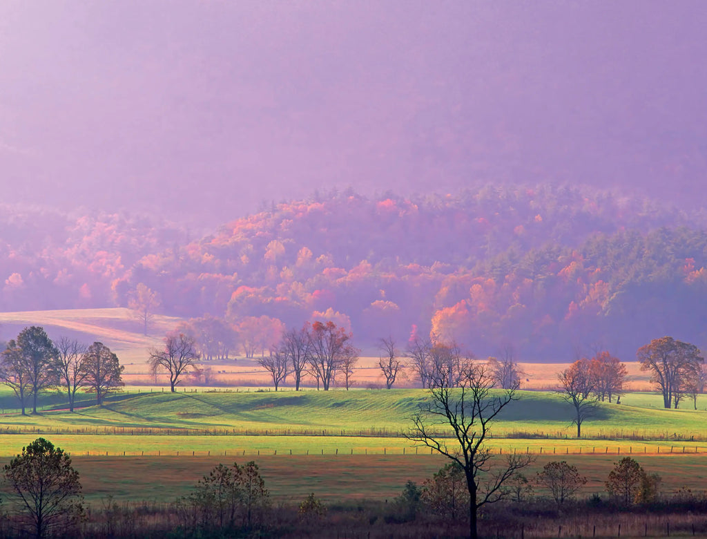 2025 Great Smoky Mountains National Park Calendar