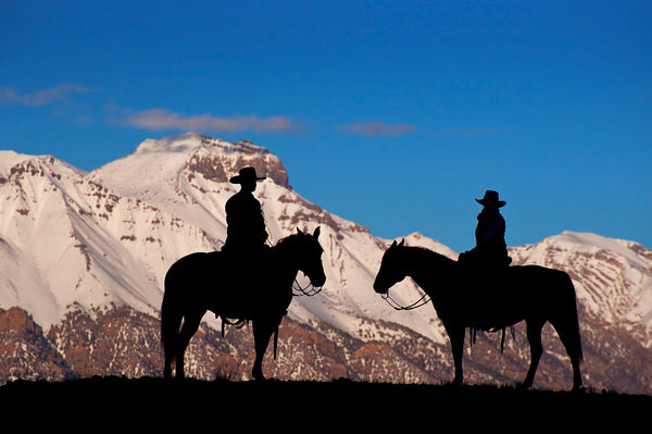 Silhouetted Against Grandeur