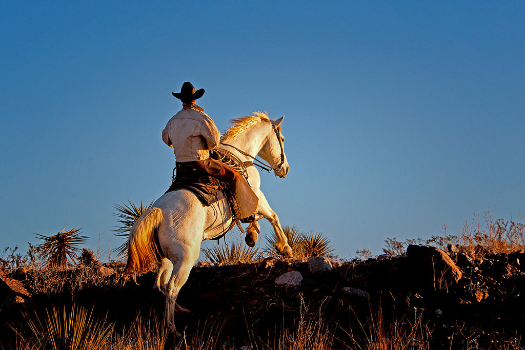Cibolo Creek Morning