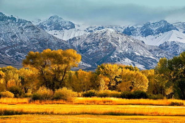 Big Lost Mountain Ranch