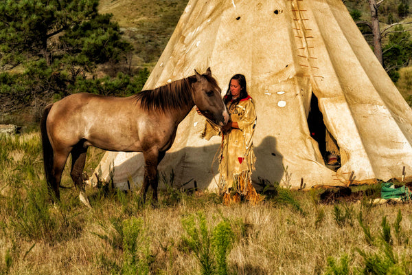 Care for a Faithful Horse