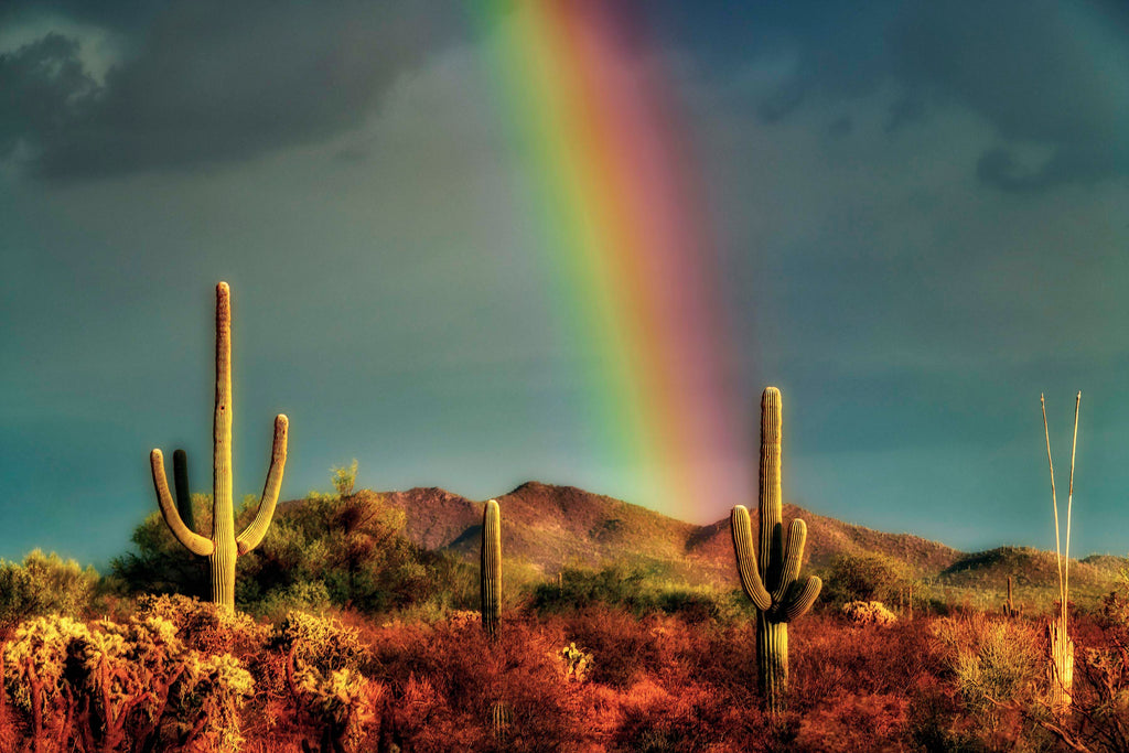 Rainbow and Saguraros