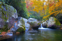 DMG-2015-11_medium.jpg?v=