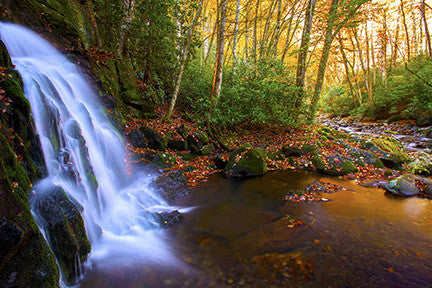 Behind Mouse Creek Falls- Great Smoky Mtns