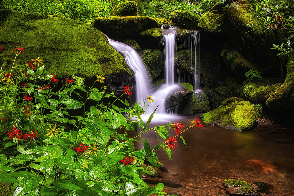 Framed In Summer Flowers- GSM