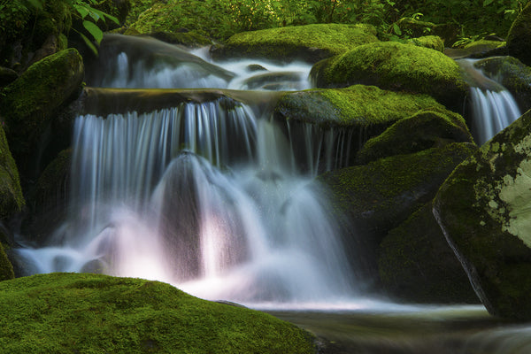A Spot of Evening Light