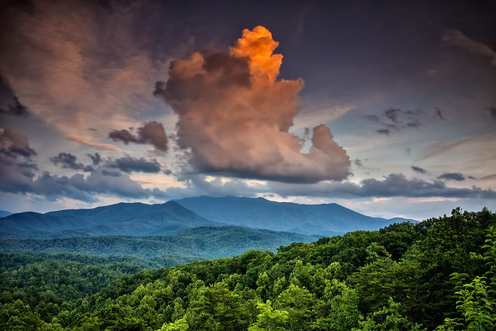 Last Shades of Evening- Foothills East