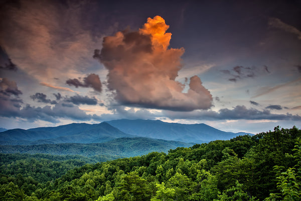 Last Shades of Evening- Foothills East