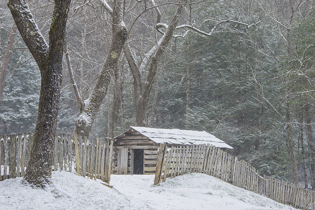 Winter's Onslaught- Cades Cove
