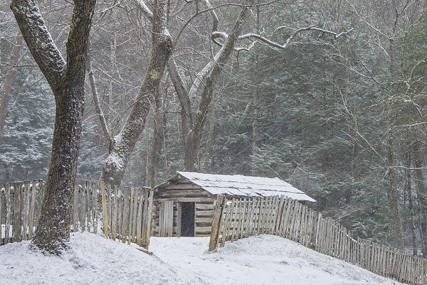 Winter's Onslaught- Cades Cove