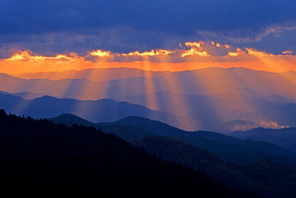 Shafts of Life- Great Smoky Mtns