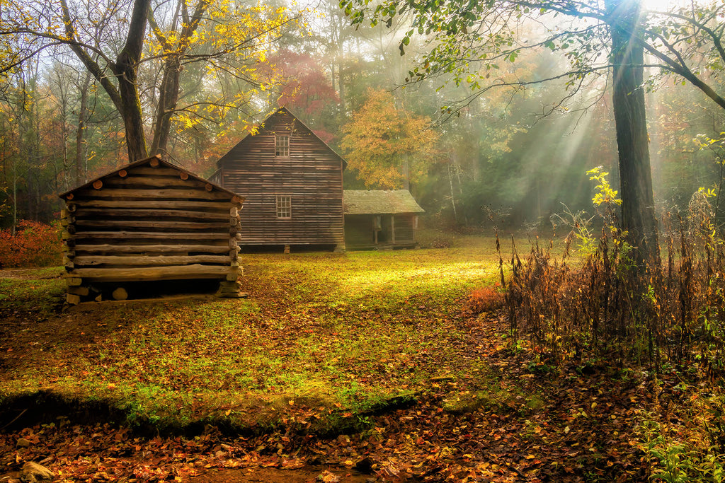 Glory in the Morning- Cades Cove- GSM