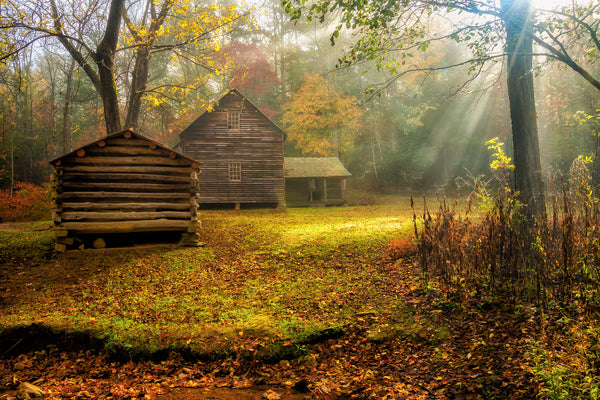 Glory in the Morning- Cades Cove- GSM