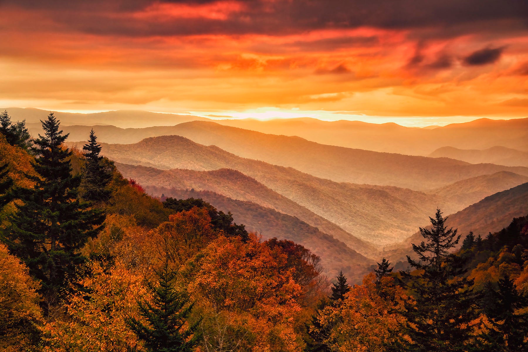 Autumn Sunrise Thru the Rain- Great Smoky Mtns - Main Image