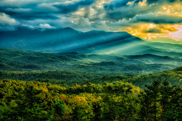 Evening Slanting Light- Great Smoky Mtns