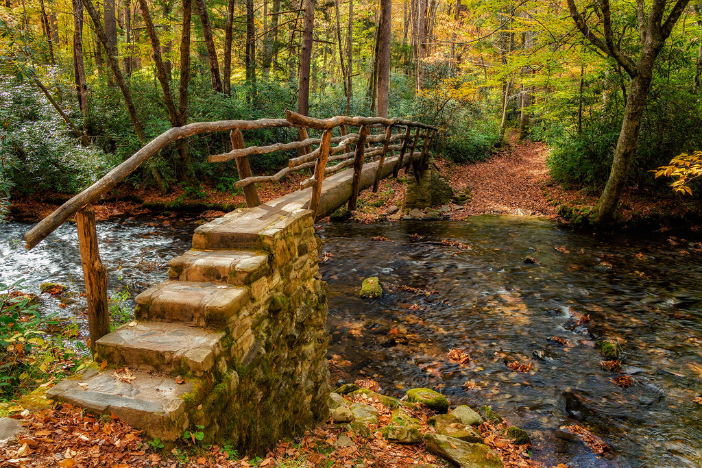 Bridge to Booger Man- Cataloochee