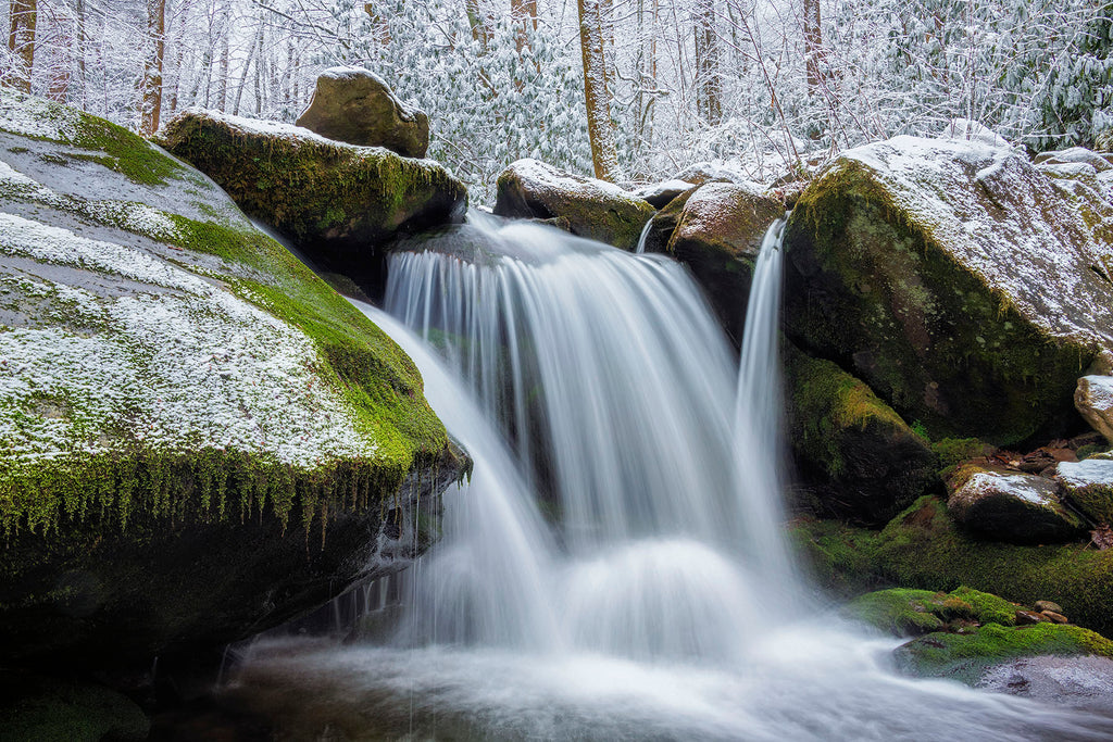 Winter's Coat Off Trail- Great Smoky Mtns