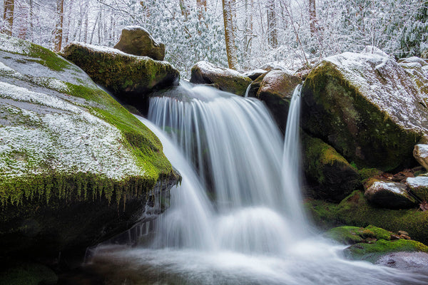Winter's Coat Off Trail- Great Smoky Mtns