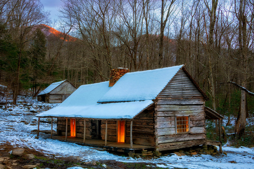 March Morning at Junglebrook- GSM