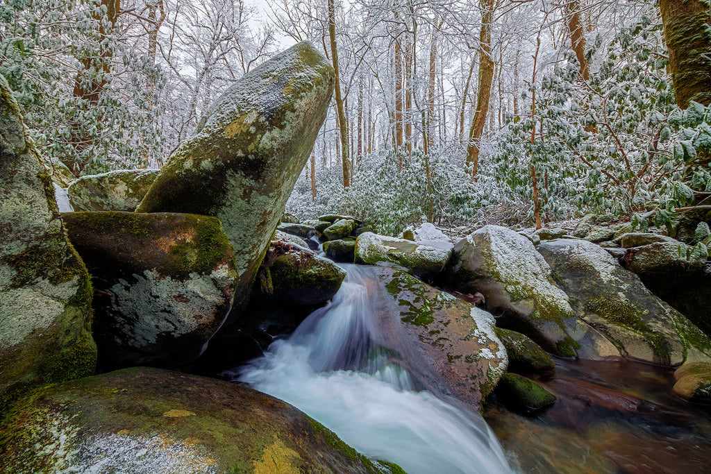 Rugged Raw Beauty On Backcountry Stream- GSM
