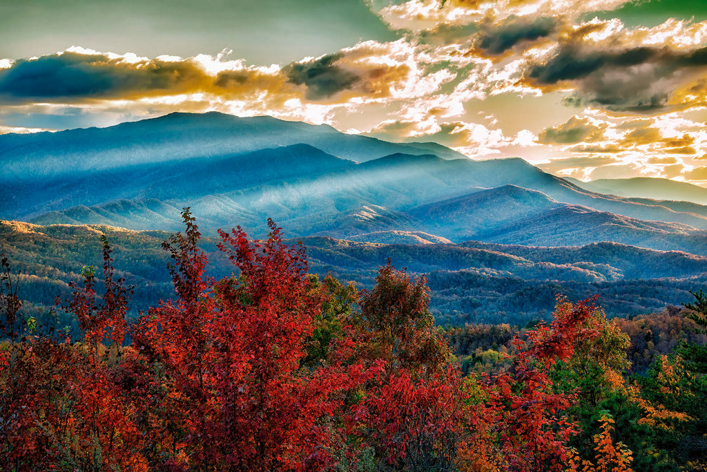 Late Rays Across November Beauty- GSM