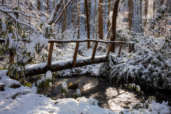 Snowy Footbridge Along Engine Creek- Greenbrier