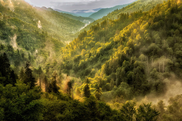 Rising Mists After the Rain- Sugarland Valley