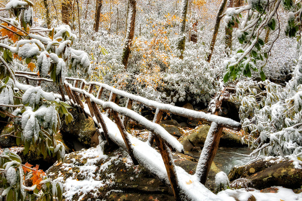 Entering A Late Autumn Wonderland- Porters Creek