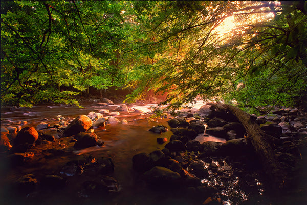 Daybreak On Ramsey Prong- Greenbrier