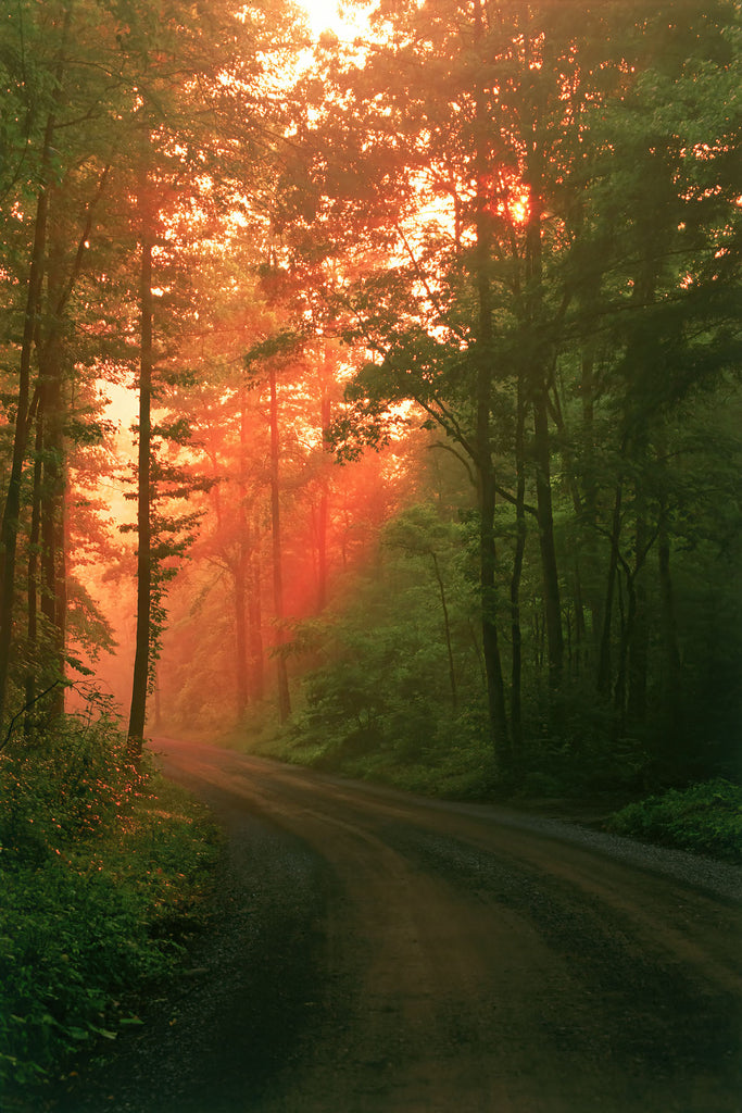 After the Rain- Greenbrier Road- GSM