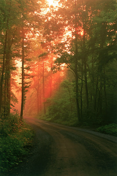 After the Rain- Greenbrier Road- GSM