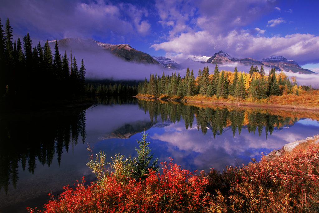 "Rocky Mountain Habitat"