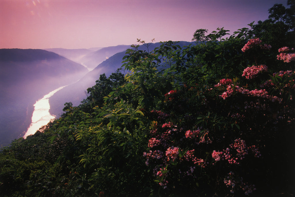 "New River Gorge"