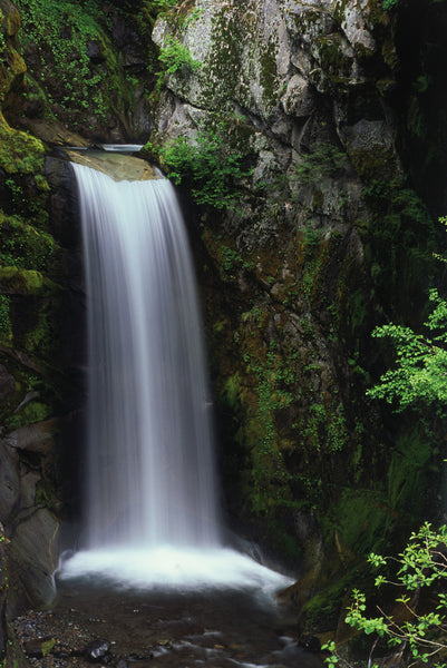"Braids of Beauty" - Christine Falls, Mt. Rainier