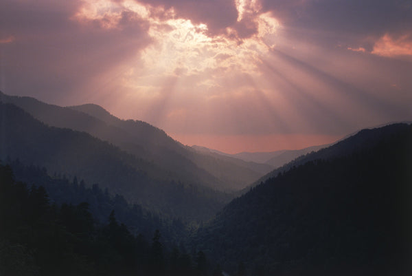 "Explosion of Beauty at Morton Overlook"