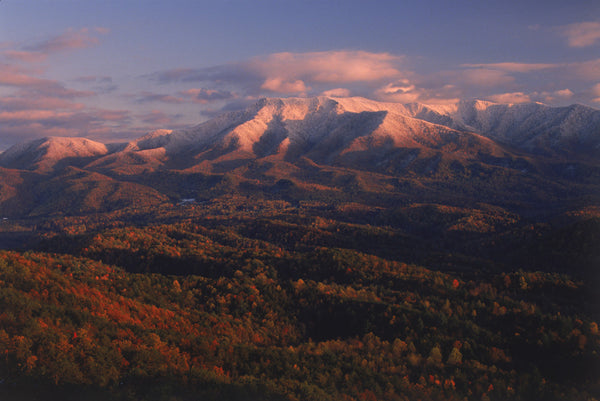"Autumn Sweeps Cosby Valley"