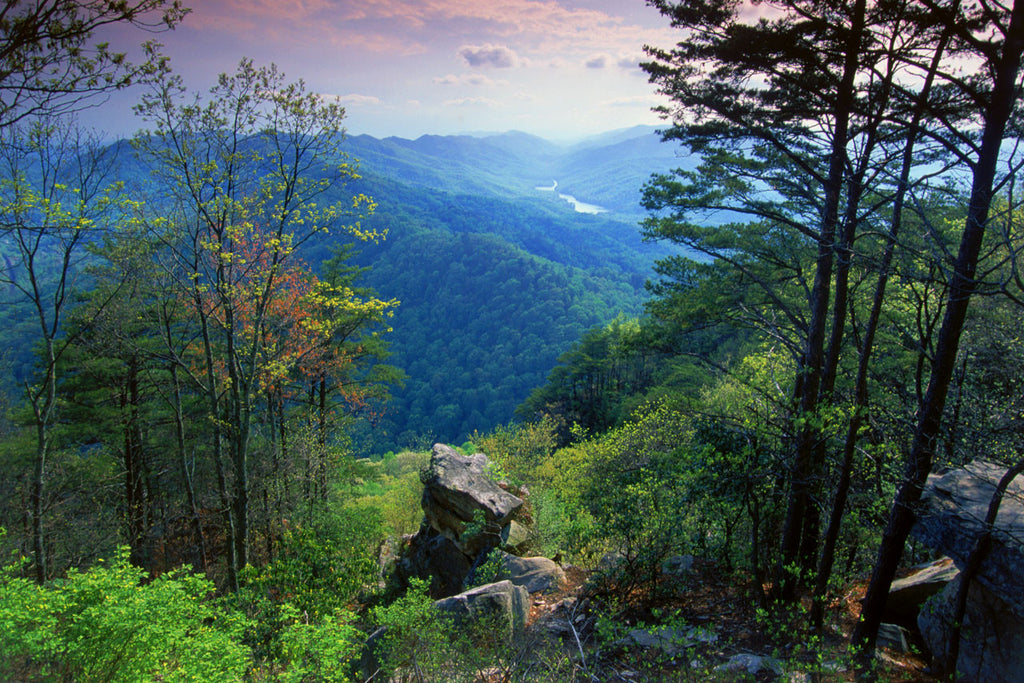 Spring at Cumberland Gap
