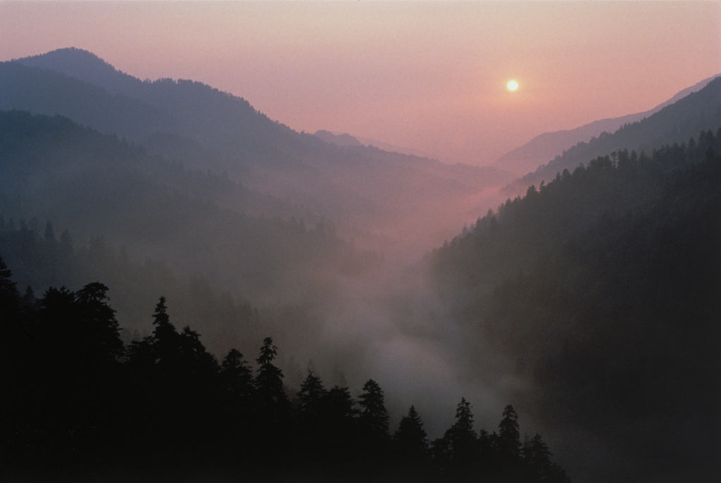 "Quiet Moment on Morton Overlook"