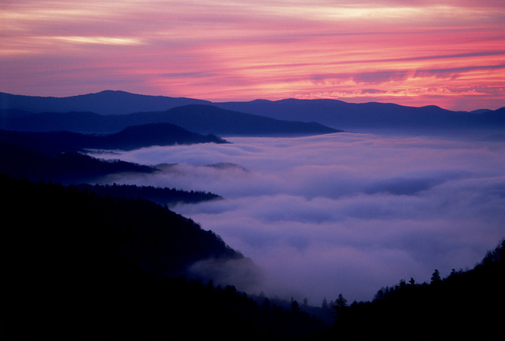 "Predawn Light On A Mountain Ocean"