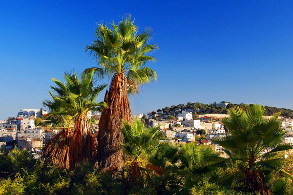 Jerusalem Morning- Israel